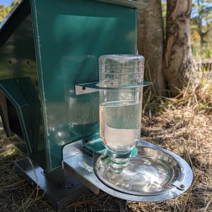 Dispensador de pienso y agua